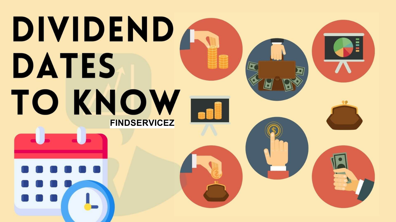 Understanding Dividends: What Investors Should Know