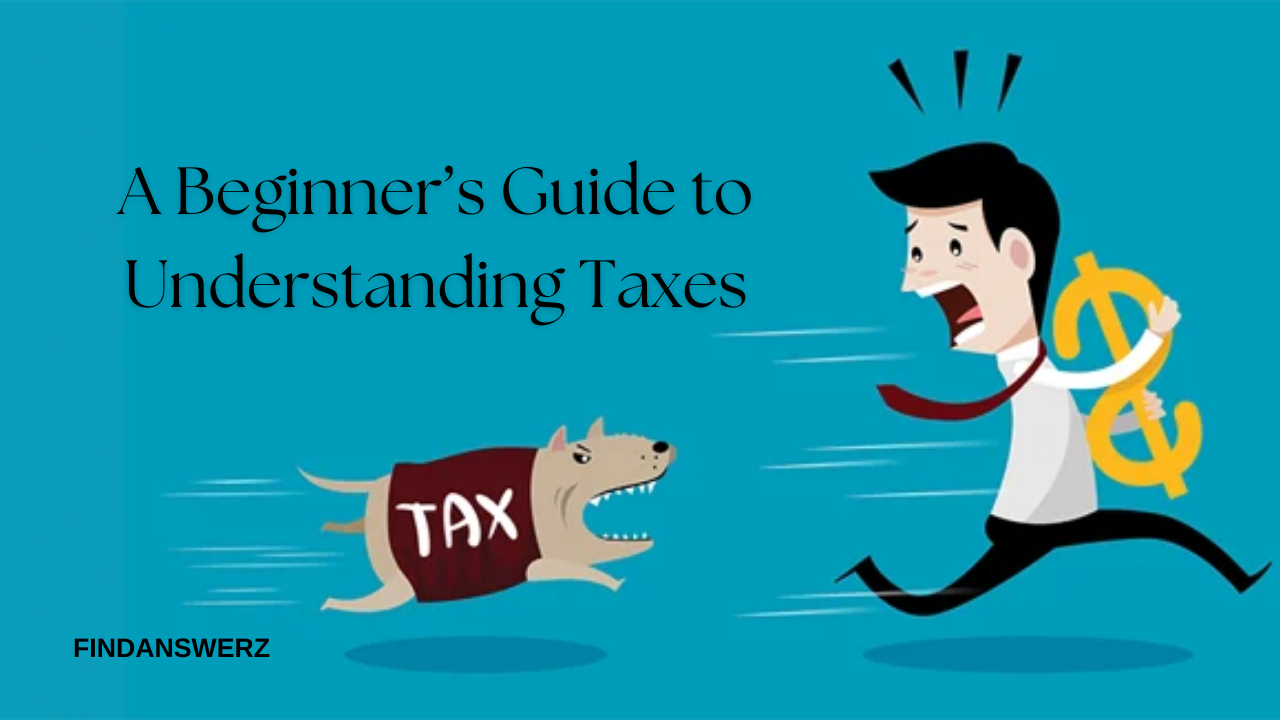 A Beginner’s Guide to Understanding Taxes