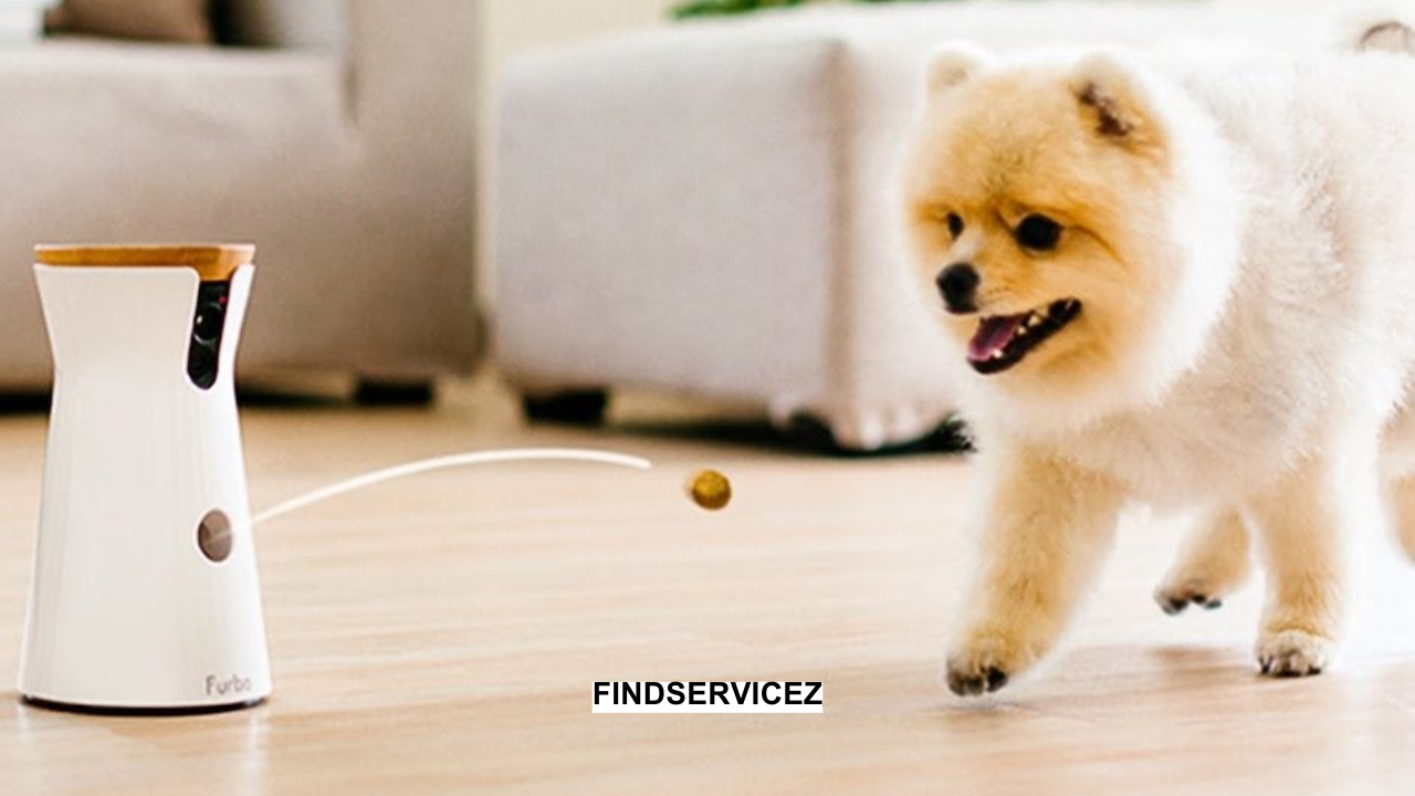 High-Tech Gadgets for Pet Owners in 2027: A Glimpse into the Future of Pet Care