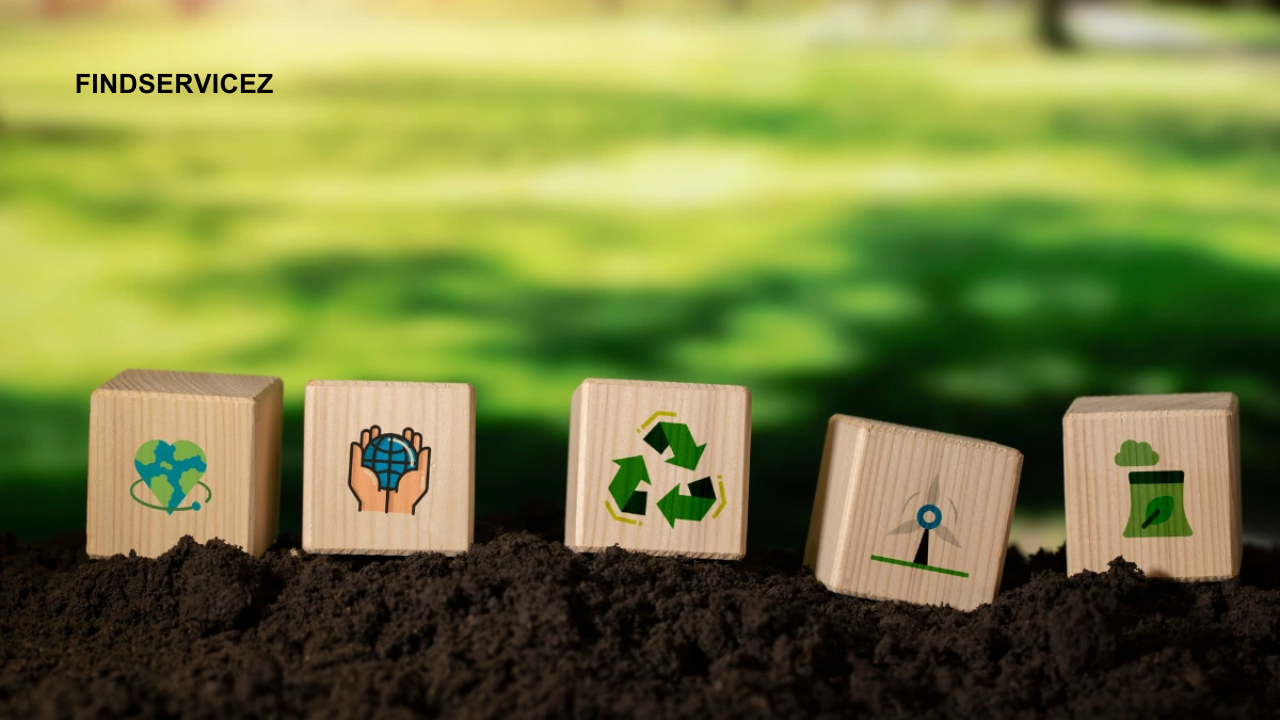 How Schools Are Integrating Sustainability Into Curricula in 2025