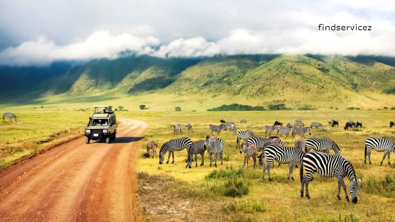 The Best Safari Destinations in Africa